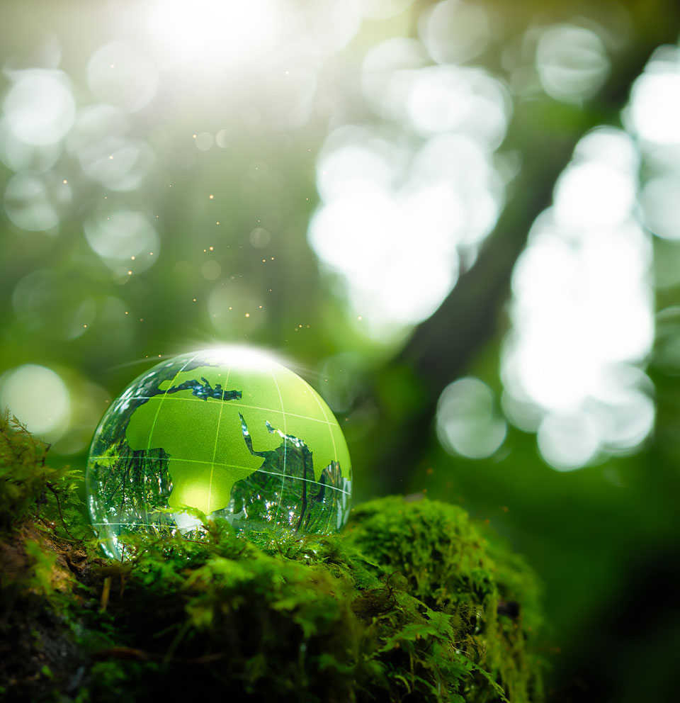 Schonende Entlackung von Metalloberflächen, umweltfreundliche Lackentfernung für Autozulieferer, präzise Lackentfernung ohne Beschädigung der Oberfläche, CO₂-sparende Entlackungstechnologien, effiziente Entlackung für die Automobilindustrie, nachhaltige Lackentfernung bei industriellen Anwendungen, wiederverwendbare Bauteile durch Lackentfernung, fehlerhafte Lackierung entfernen und neu beschichten